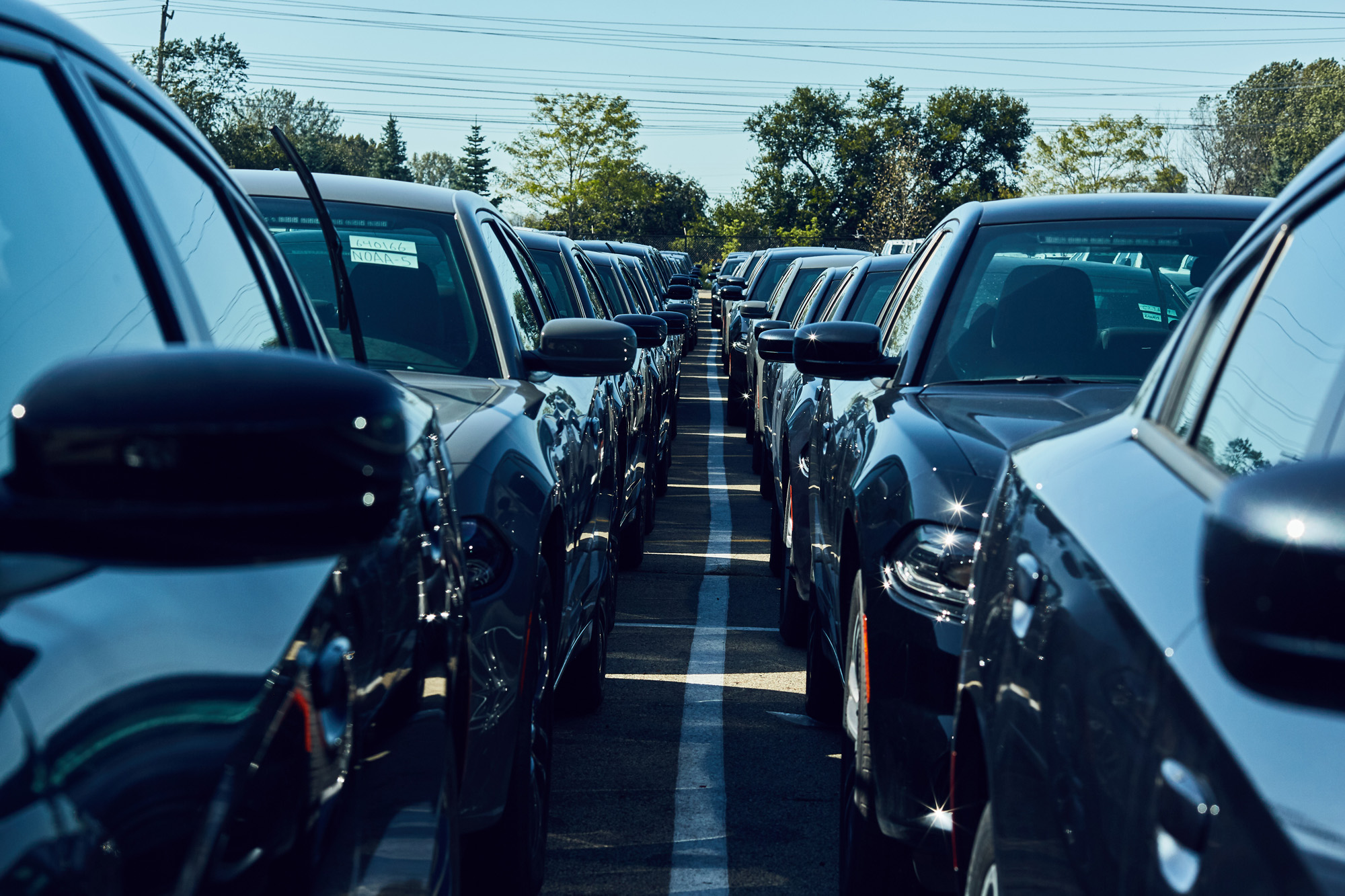 Cars parked in line