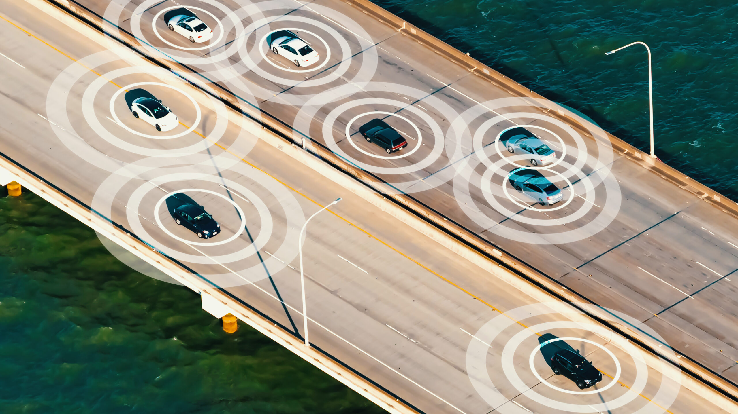White circles around vehicles driving on the bridge
